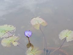 -名花谷生态庄园