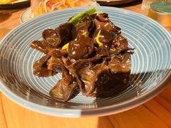 爽口捞汁木耳-雪熊精酿·哈尔滨烧烤酒馆(非遗大串店)