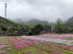 -千岛湖石林