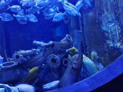 -成都浩海立方海洋公园