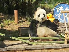 -大连森林动物园