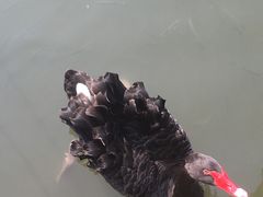 -长兴太湖图影湿地文化园