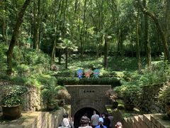 -瑶琳仙境