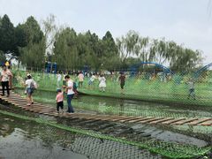 -白洋淀景区