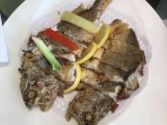 -骏莱海鲜鱼港(五角场店)