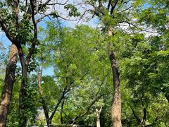 -青州市云门山风景区