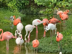 -杭州野生动物世界