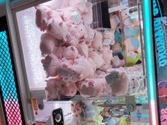 -挂旗柴锅鸡(蚌山区嘉年华店)