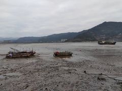-北岐滩涂