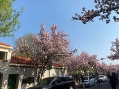 -天津五大道文化旅游区