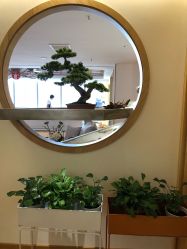 -松和日式美容整骨