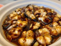 -苏城小院·园林精致苏州菜(斜塘老街店)