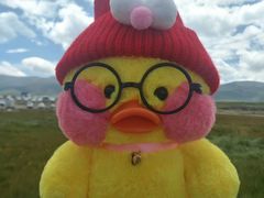 -青海湖国家重点风景名胜区