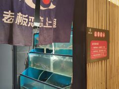 -老板恋上鱼(荣盛广场店)