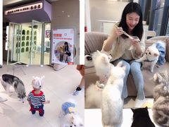 -怪兽屋·羊驼·猫咖·狗咖(俊华广场店)