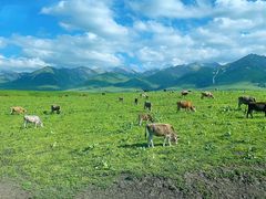 -新疆那拉提国家旅游度假区
