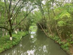 -西溪国家湿地公园