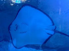 -北戴河圣蓝海洋公园