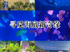 -郑州海洋馆