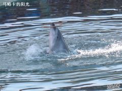 -秦皇岛乐岛海洋王国