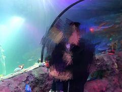 -沈阳海洋探索中心