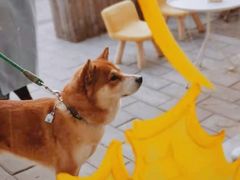 -五进制 Coffee Shop