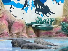 -北戴河圣蓝海洋公园