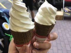 -富豪雪糕车流动点(尖沙咀店)
