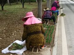 -堤角公园