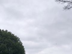 -秋霞圃