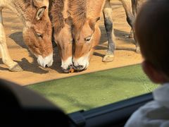 -杭州野生动物世界