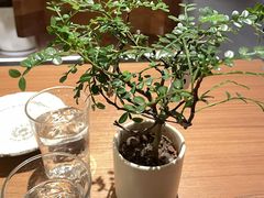 -CURRY YA 熟成咖哩專門店(深圳湾万象城店)