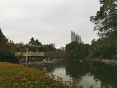 -晓港公园