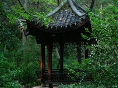 -虎跑公园