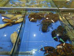 -山东八大碗山东老字号