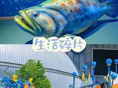 -烟台海昌鲸鲨海洋公园