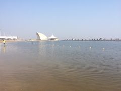 -碧海金沙