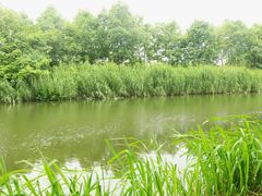 -新江湾城公园