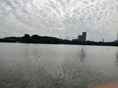 -华侨城湿地公园