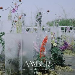 -琥珀婚礼策划AMBER WEDDING