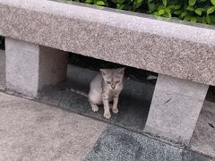 -石炮台公园