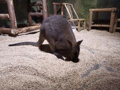 -常州海昌海洋探索馆