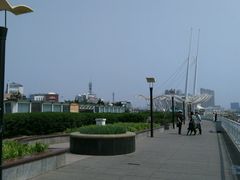 -海河外滩公园