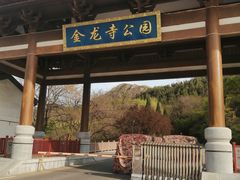 -金龙寺国家森林公园