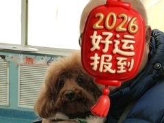 -北京赛佳动物医院