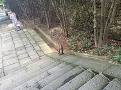 -武当山风景区