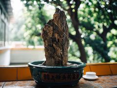 -壹零贰小馆(桂城石啃店)
