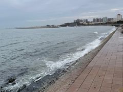 -幸福门