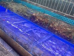 -海韵之星邮轮水会(明发商业广场店)