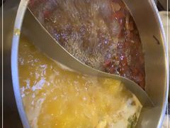 -熹悟海鲜火锅·广式打边炉